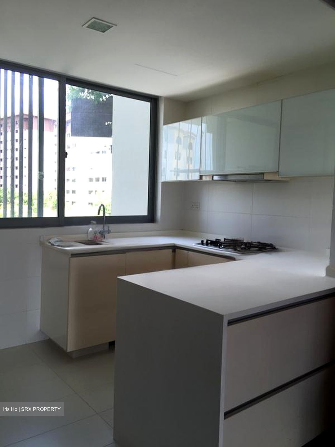 Oasis Garden (D19), Condominium #576668911